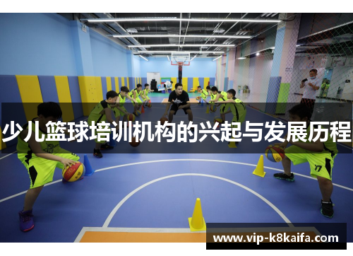 少儿篮球培训机构的兴起与发展历程