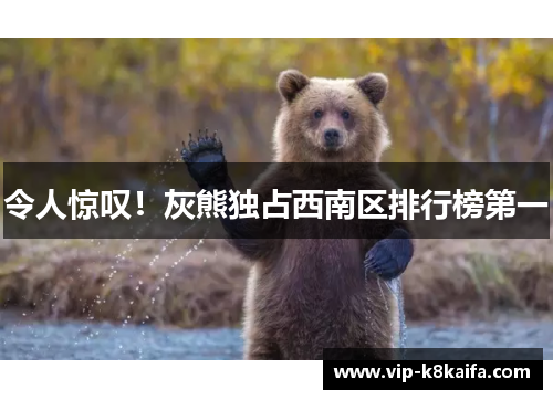 令人惊叹！灰熊独占西南区排行榜第一